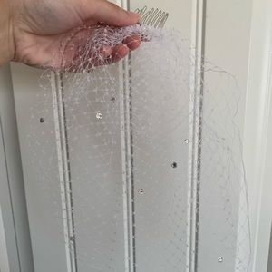 Birdcage veil
